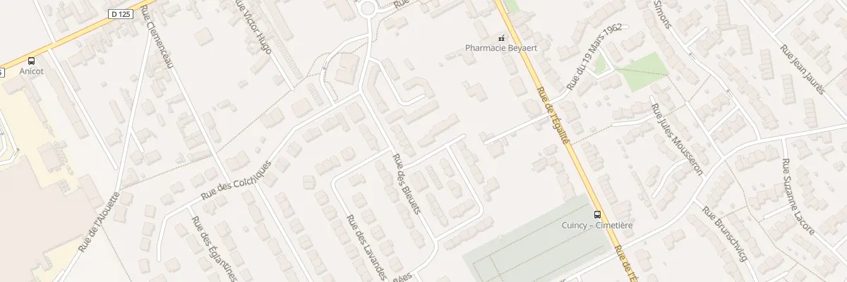 Plan du 42 Rue des Campanules à Cuincy