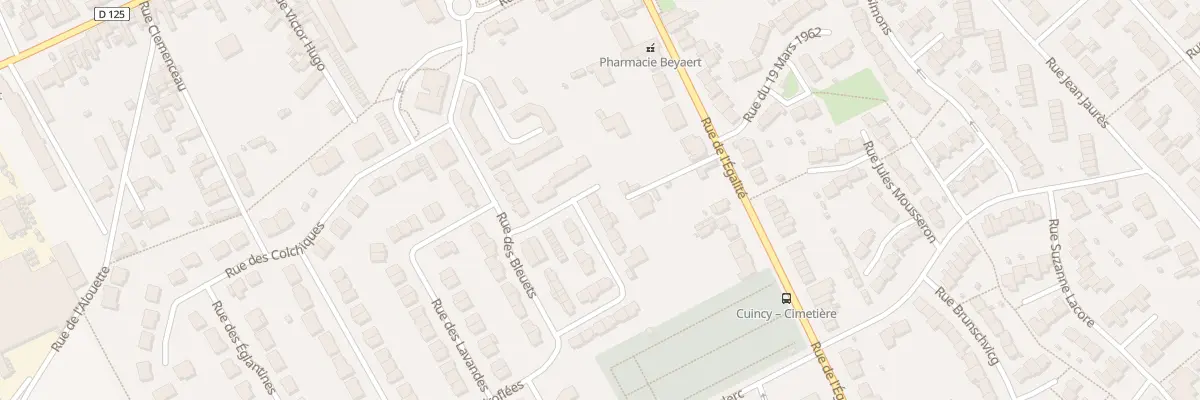 Plan du 74 Rue des Violettes à Cuincy