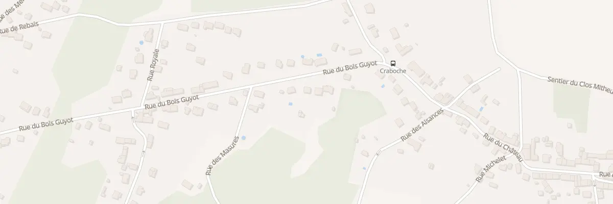 Plan du 654 Rue de Bois-Guyot à Mouroux