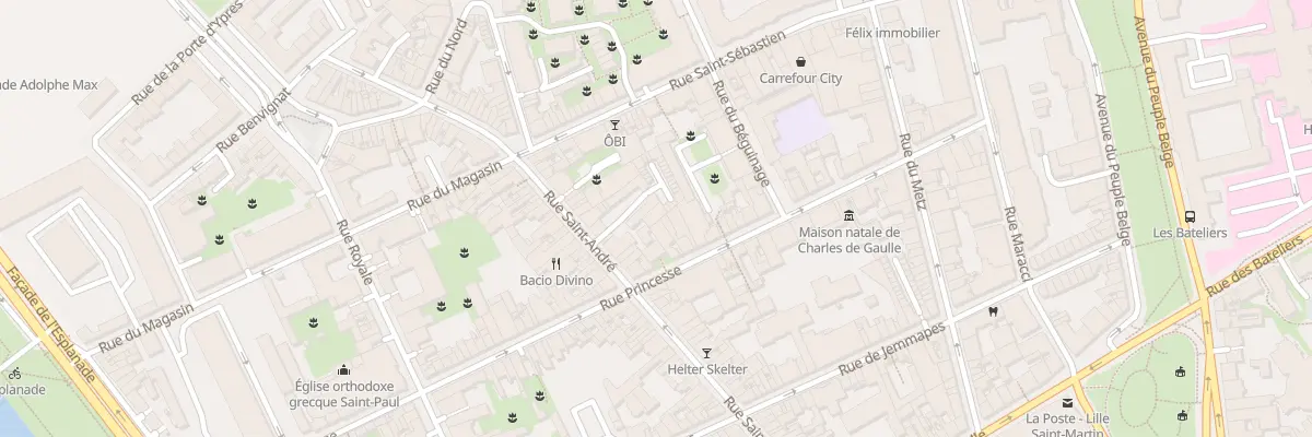 Plan du 50 Rue Princesse à Lille