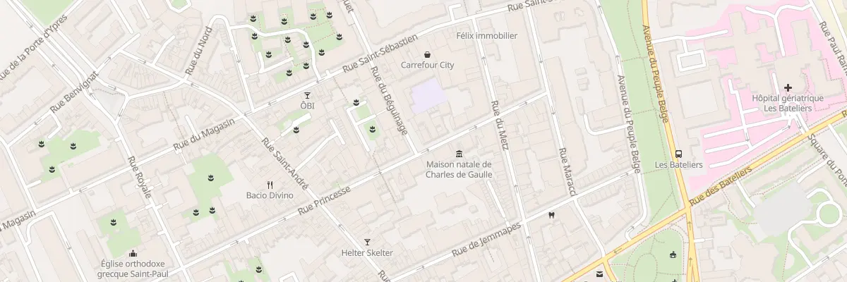 Plan du 30 Rue Princesse à Lille