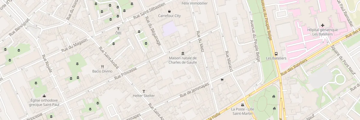 Plan du 13 Rue Princesse à Lille