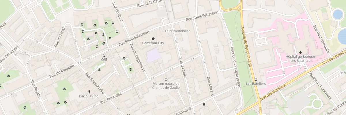 Plan du 12 Rue Princesse à Lille