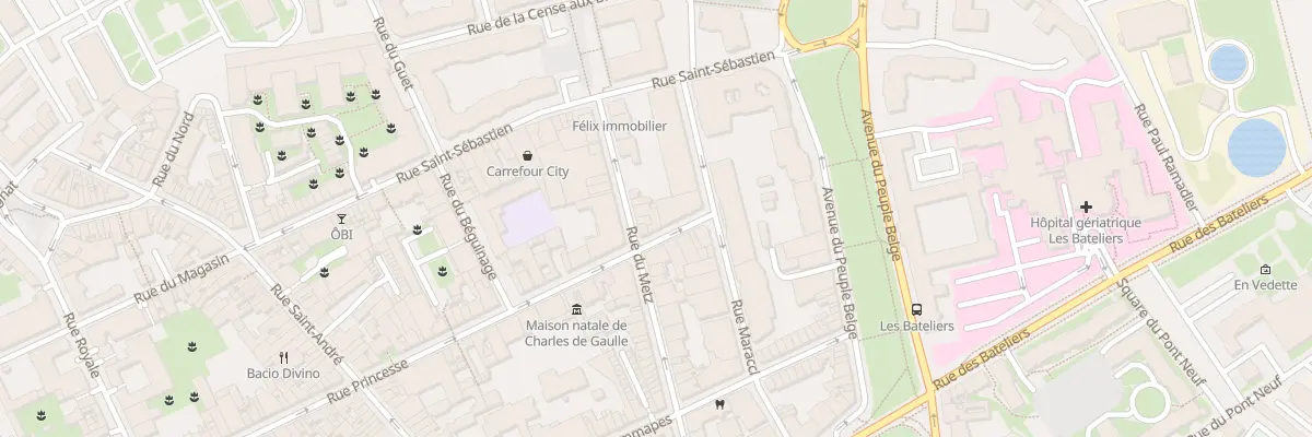Plan du 4 Rue Princesse à Lille