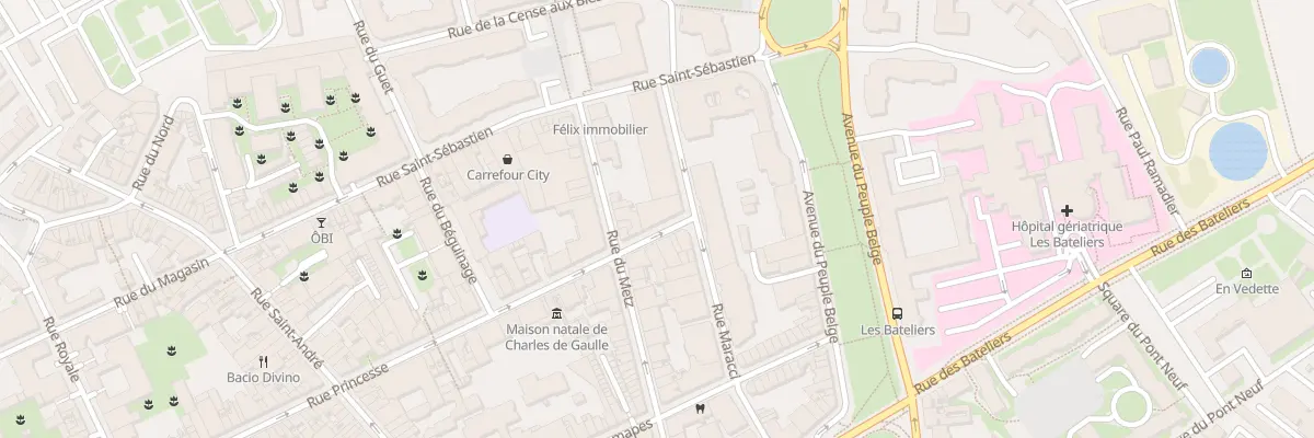 Plan du 2 Rue Princesse à Lille