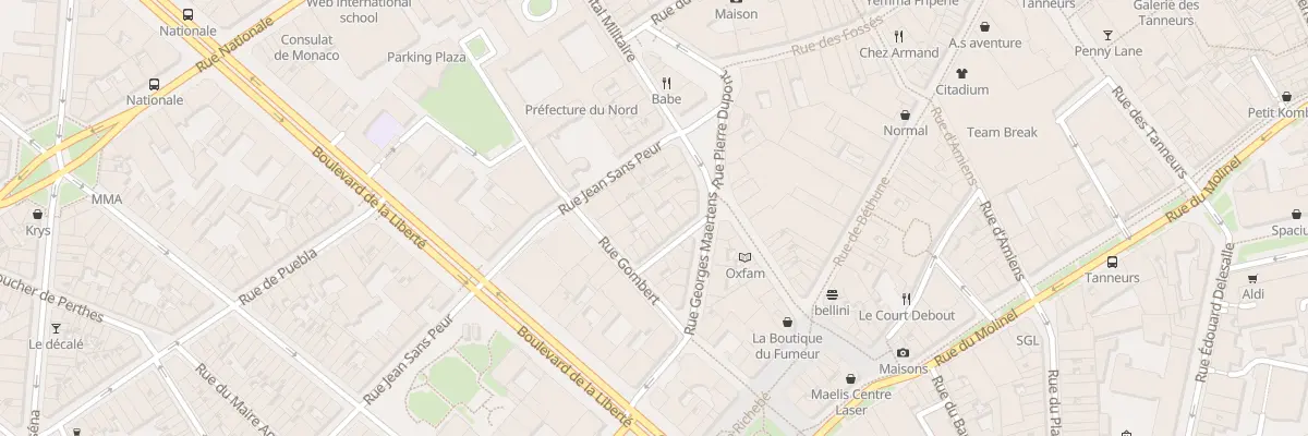 Plan du 10 Rue de la Piquerie à Lille