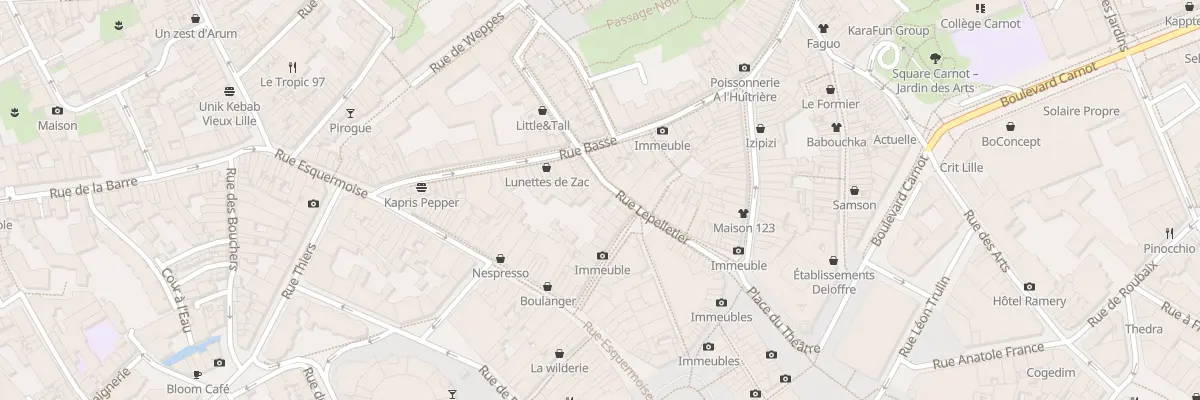 Plan du 29 Rue Lepelletier à Lille