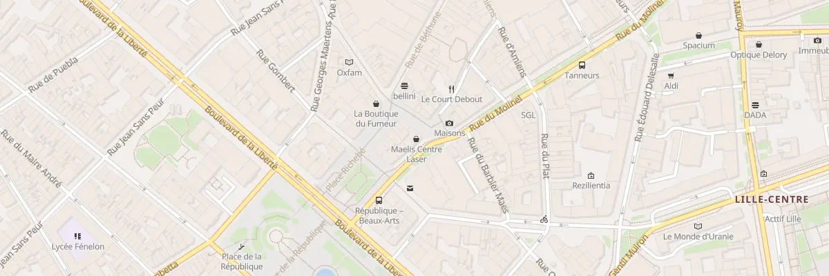 Plan du 156 Rue du Molinel à Lille