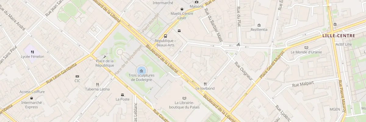 Plan du 155 Bd de la Liberté à Lille