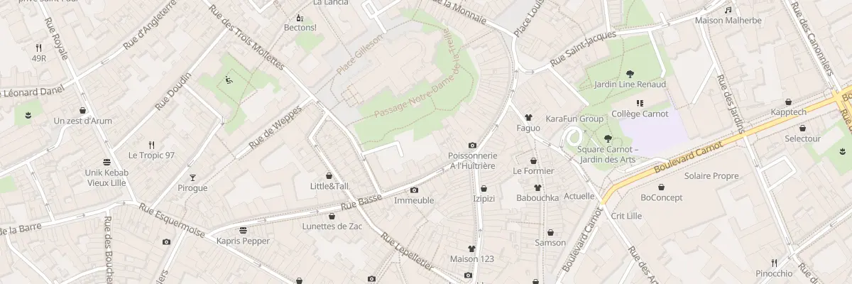 Plan du 20 Rue Basse à Lille