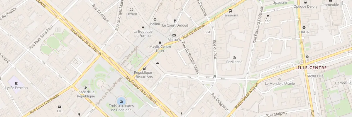 Plan du 155 Rue du Molinel à Lille