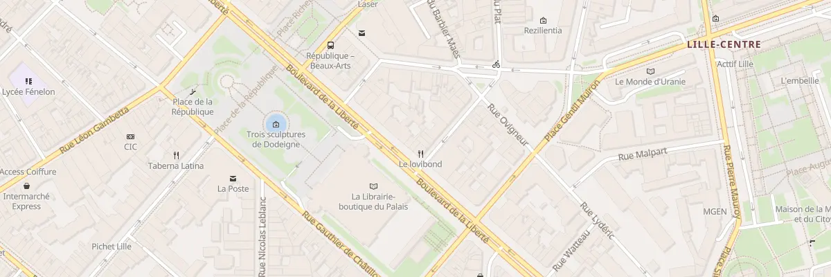 Plan du 165 Bd de la Liberté à Lille