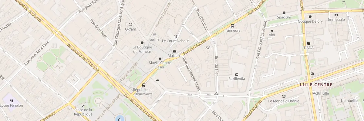 Plan du 147 Rue du Molinel à Lille