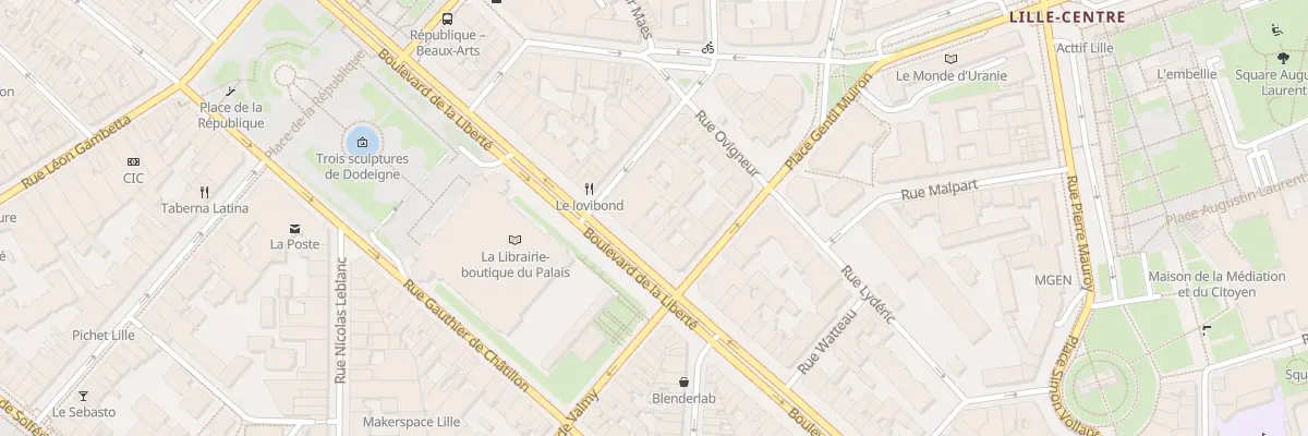 Plan du 175 Bd de la Liberté à Lille