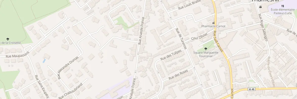 Plan du 165 Rue Anatole France à Faches-Thumesnil