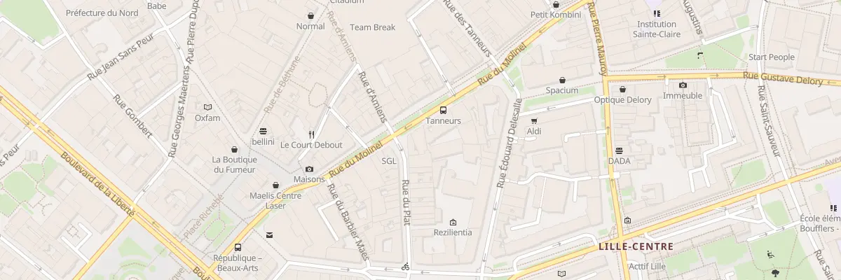 Plan du 117 Rue du Molinel à Lille