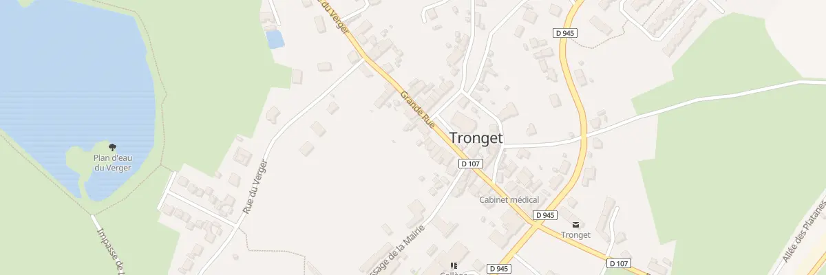 Plan du 41 Rue Grande Rue à Tronget