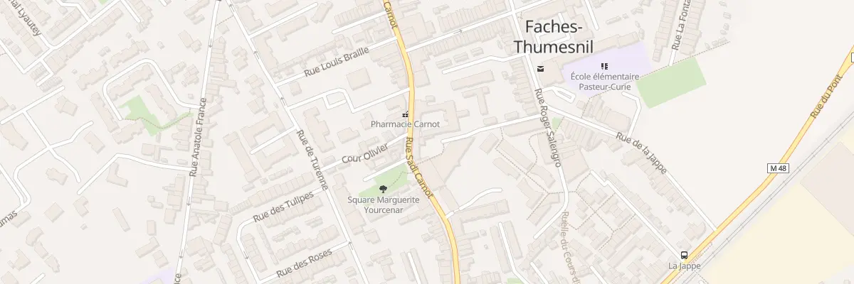 Plan du 195 Rue Carnot à Faches-Thumesnil
