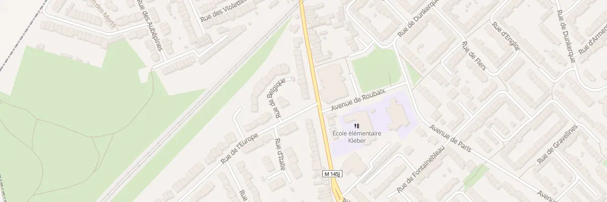 Plan du 303 Rue Kléber à Faches-Thumesnil