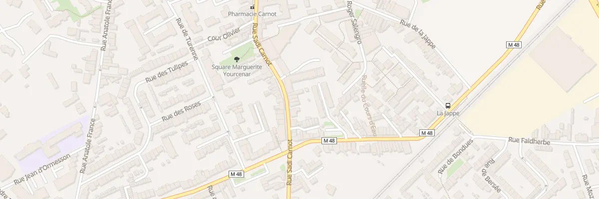 Plan du 227 Rue Carnot à Faches-Thumesnil