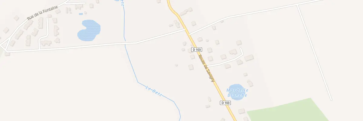 Plan du 40 Rte de Savigny à Domats