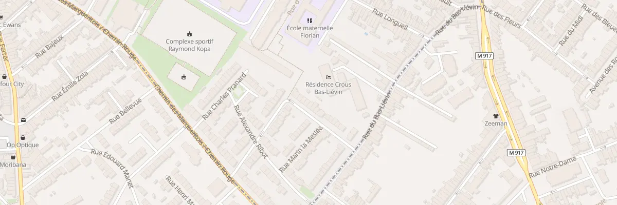 Plan du 20 Rue Ernest Couteaux à Lille