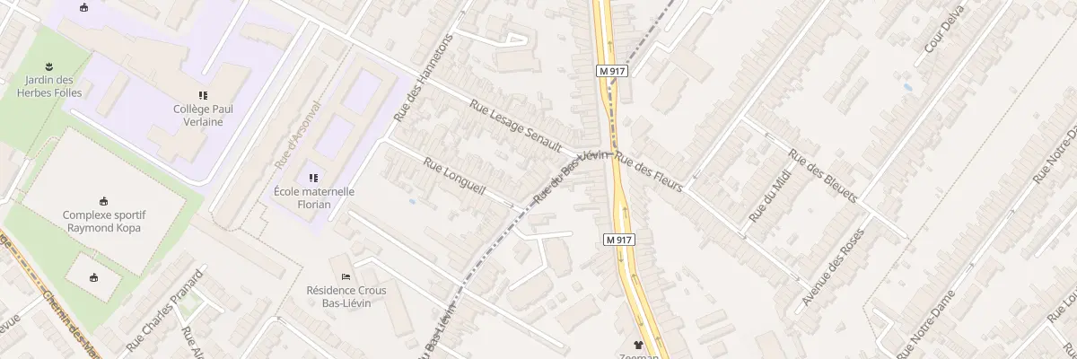 Plan du 10 Rue du Bas-Liévin à Lille