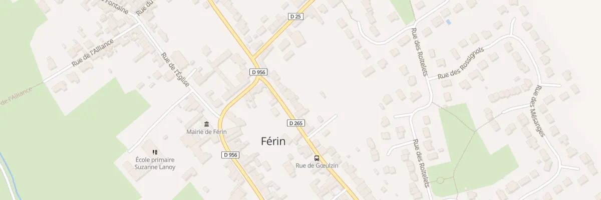 Plan du 13 Rue de Goeulzin à Férin