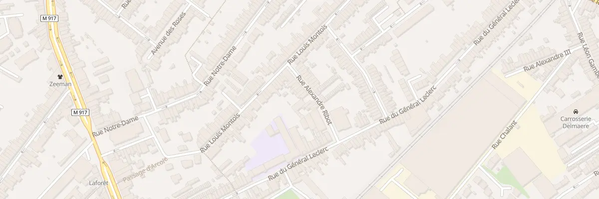 Plan du 20 Rue Alexandre Ribot à Ronchin