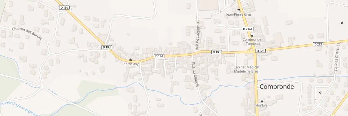 Plan du 51 Rue du Gen Tailhardat à Combronde