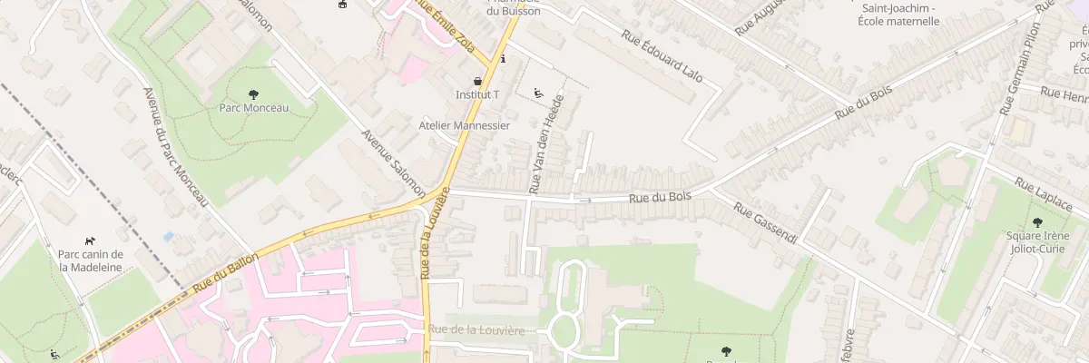 Plan du 21 Rue du Bois à Lille