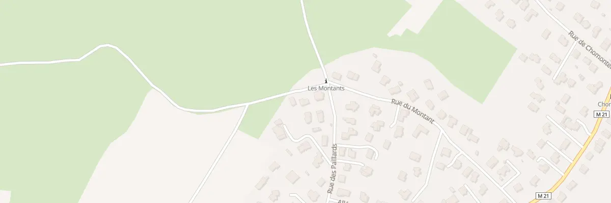 Plan du 29 Rue du Montant à Romagnat