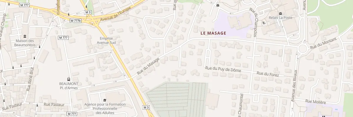 Plan du 310 Rue du Masage à Beaumont