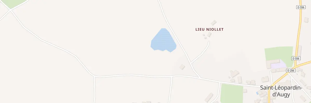 Plan du 5229 Bourdoiseau à Saint-Léopardin-d’Augy