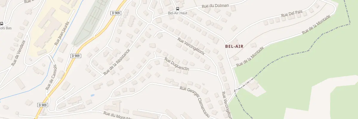 Plan du 21 Rue Duguesclin à Saint-Flour