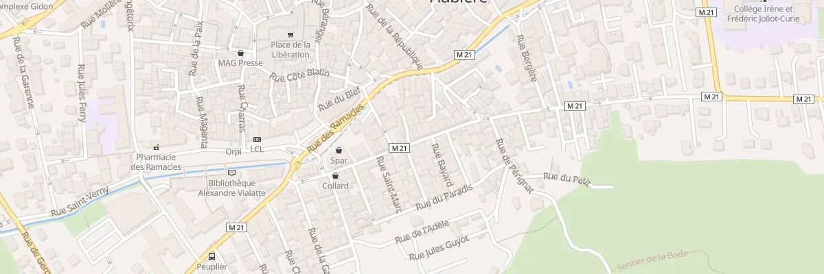 Plan du 21 Rue du Chambon à Aubière