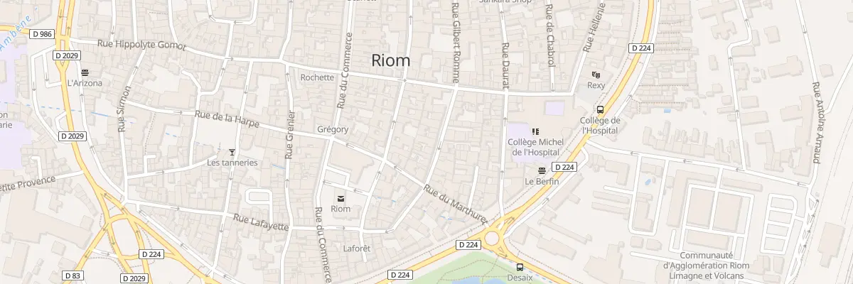 Plan du 19 Rue Gilbert Romme à Riom