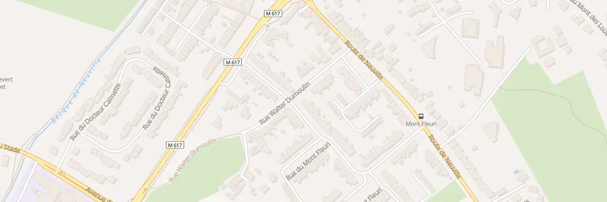 Plan du 48 Rue du Mont Fleuri à Halluin