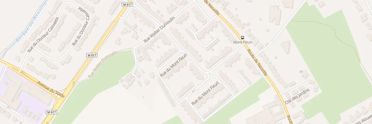 Plan du 99 Rue du Mont Fleuri à Halluin