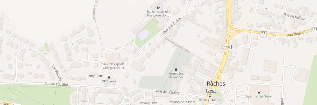 Plan du 319 Rue des Ecoles à Râches