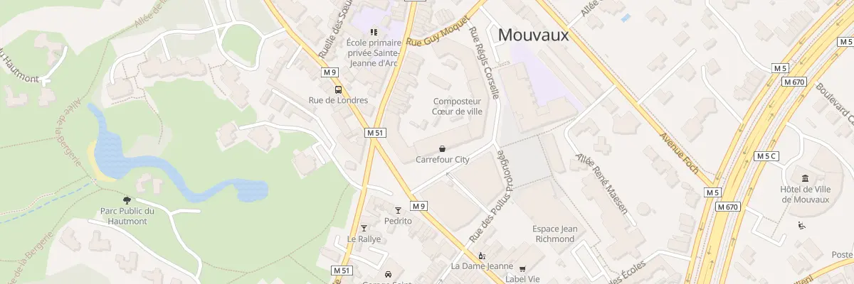 Plan du 19 Rue Régis Corselle à Mouvaux