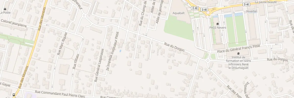 Plan du 48 Rue du Donjon à Nevers