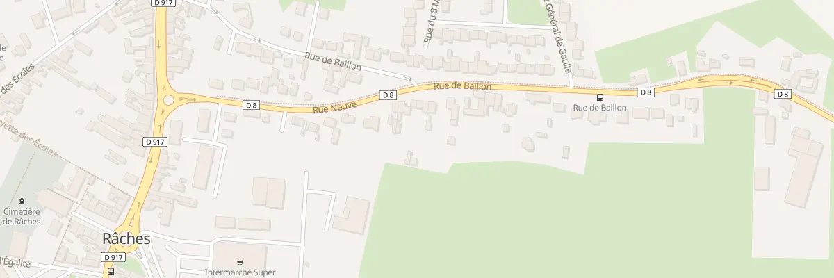 Plan du 306 Rue de Baillon à Râches