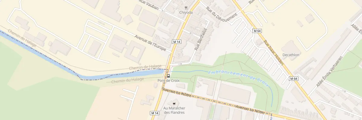 Plan du 45 Rue du Professeur Perrin à Croix