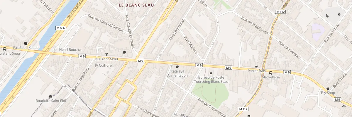 Plan du 113 Rue de Mouvaux à Tourcoing