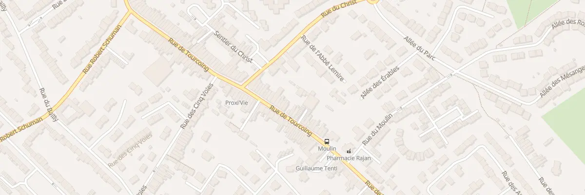 Plan du 247 Rue de Tourcoing à Neuville-en-Ferrain