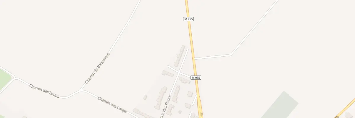 Plan du 29 Rue des Fleurs à Sainghin-en-Mélantois