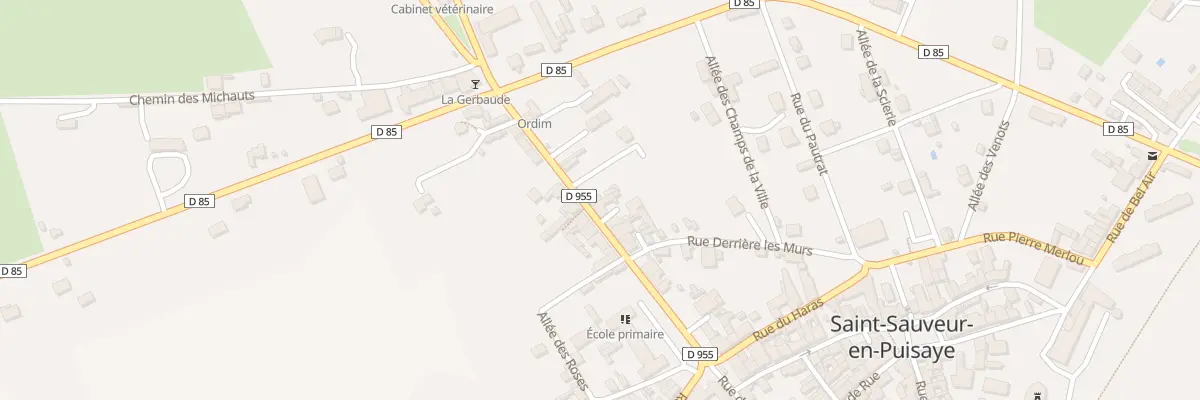 Plan du 22 Rue de la Gerbaude à Saint-Sauveur-en-Puisaye