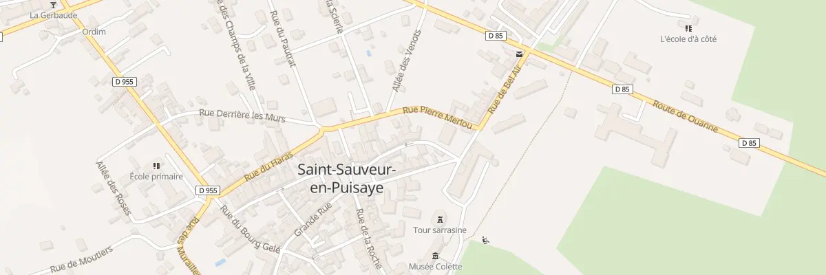 Plan du 11 Rue Aristide Briand à Saint-Sauveur-en-Puisaye