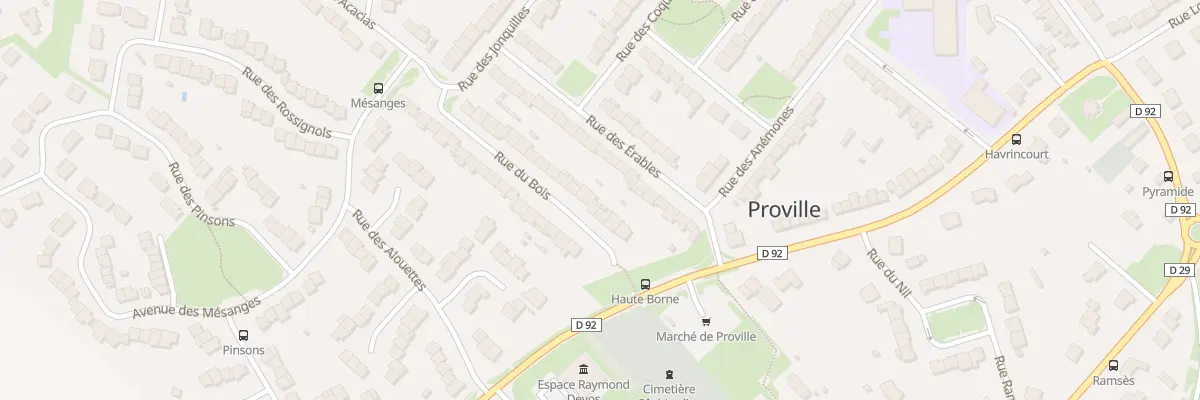 Plan du 49 Rue du Bois à Proville